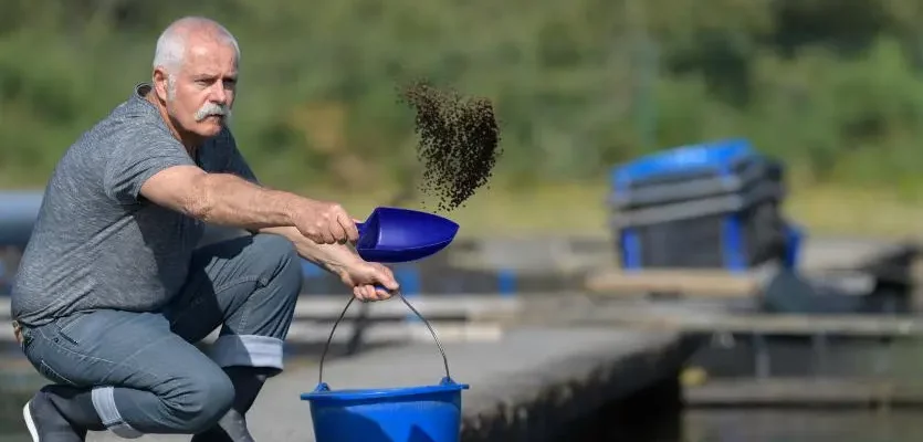 alimentação de alevinos